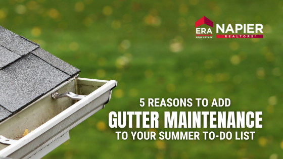 gutter maintenance
